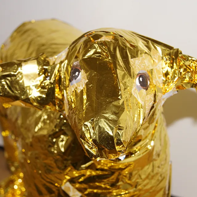 Unser "goldenes Kalb" war ein in Rettungsdecken eingewickeltes Schaf.