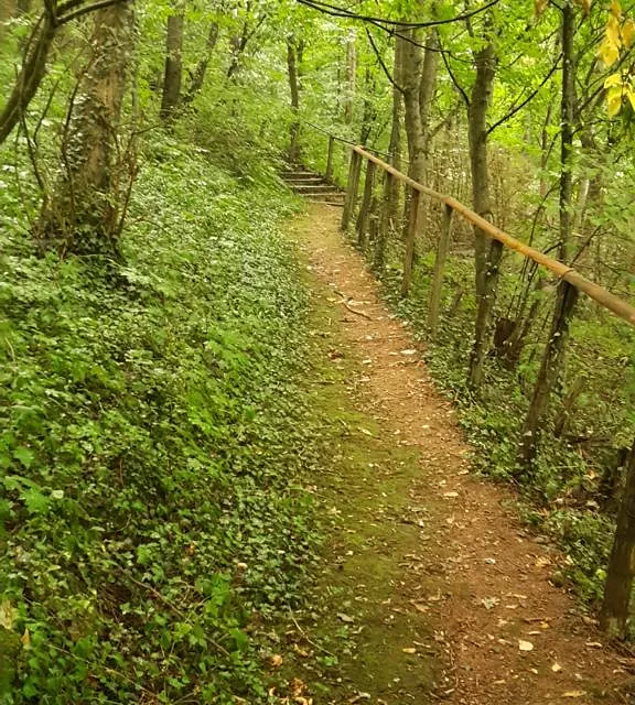 Weg zum Garten der Stille